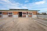 24585 Dodds Road - Photo 21