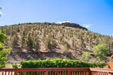 1029 Algonquian Loop - Photo 51