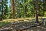 500 Mt Ashland Ski Road - Photo 44