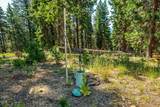 500 Mt Ashland Ski Road - Photo 48