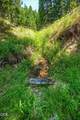 500 Mt Ashland Ski Road - Photo 55