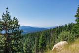 500 Mt Ashland Ski Road - Photo 59