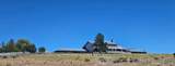 4705 Wittmer - Photo 1