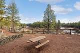 51775 Jubilee Pine Dr - Photo 25