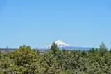 4855 57th Street - Photo 50