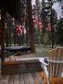 71105 Meadow Grass Circle - Photo 75