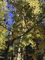 71105 Meadow Grass Circle - Photo 80