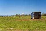 4793 Williams Road - Photo 37
