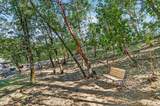 1300 Andrews Place - Photo 45