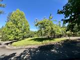 840 Shadow Hills Drive - Photo 39