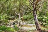 4300 Pleasant Creek Road - Photo 43