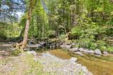 4300 Pleasant Creek Road - Photo 44