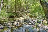 4300 Pleasant Creek Road - Photo 45