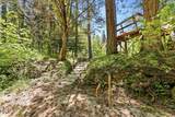 4300 Pleasant Creek Road - Photo 46