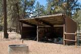 69566 Paint Brush Lane - Photo 42