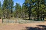 69566 Paint Brush Lane - Photo 43