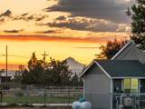 3099 Williams Way - Photo 48