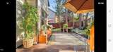 61007 Snowberry Place - Photo 16
