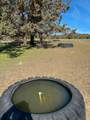25405 Bear Creek Road - Photo 34