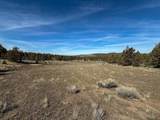 25405 Bear Creek Road - Photo 37