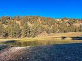 25405 Bear Creek Road - Photo 43