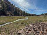 25405 Bear Creek Road - Photo 46