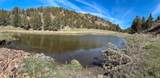 25405 Bear Creek Road - Photo 49