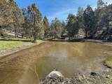 25405 Bear Creek Road - Photo 50