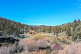25405 Bear Creek Road - Photo 59