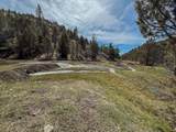 25405 Bear Creek Road - Photo 60
