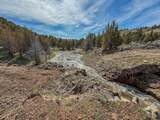 25405 Bear Creek Road - Photo 64