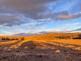 25405 Bear Creek Road - Photo 67