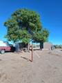 58936 Fossil Lake Road - Photo 24