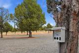 13005 Airstrip Lane - Photo 33