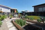 8401 Old Stage Road - Photo 10
