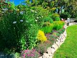 215 4th Street - Photo 20