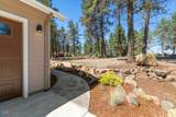11504 Crossbill Drive - Photo 72