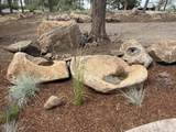 11504 Crossbill Drive - Photo 74