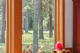 71190 Fiddleneck Lane - Photo 59