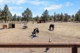 4970 62nd Street - Photo 29