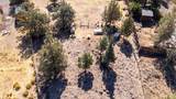 13770 Cinder Cone Loop - Photo 24