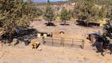 13770 Cinder Cone Loop - Photo 25