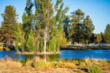 21955 Rickard Road - Photo 30