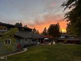 3665 Pine Tree Drive - Photo 4