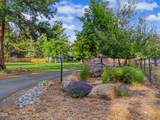 3665 Pine Tree Drive - Photo 65