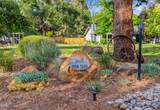 3665 Pine Tree Drive - Photo 66
