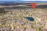 474 Tanager Drive - Photo 67