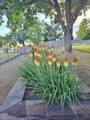 10016 Mcguire Avenue - Photo 34