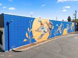 239 G Street - Photo 21