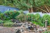 3460 Blue Blossom Drive - Photo 41